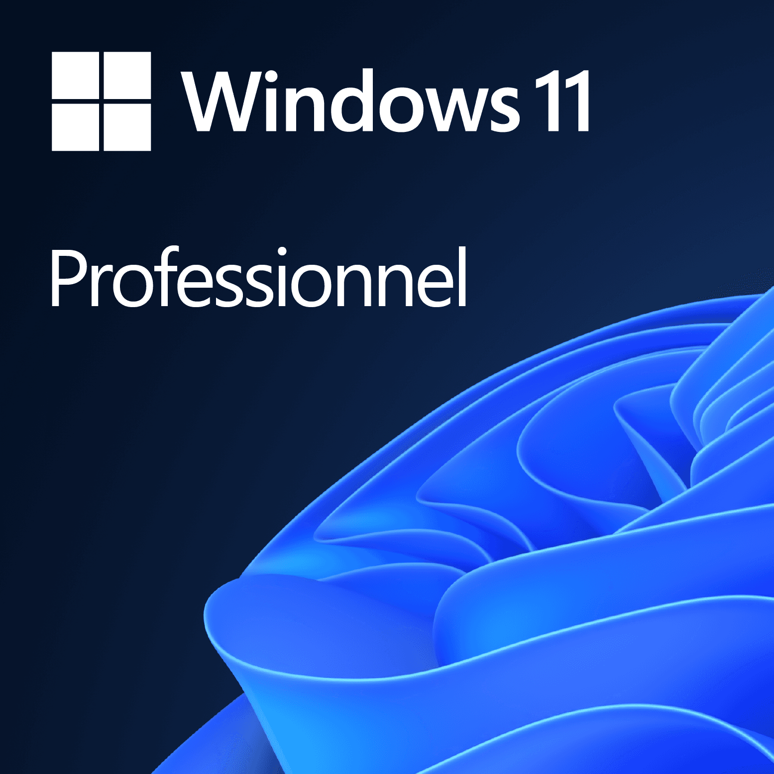 Microsoft Windows 11 Professionnel - OEM (DVD)