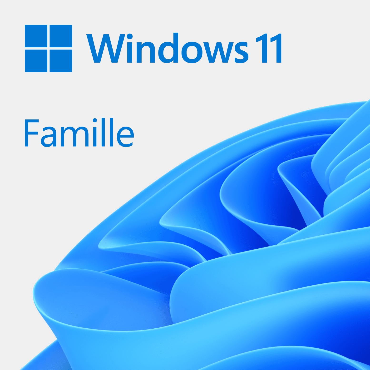 Microsoft Windows 11 Famille - OEM (DVD)