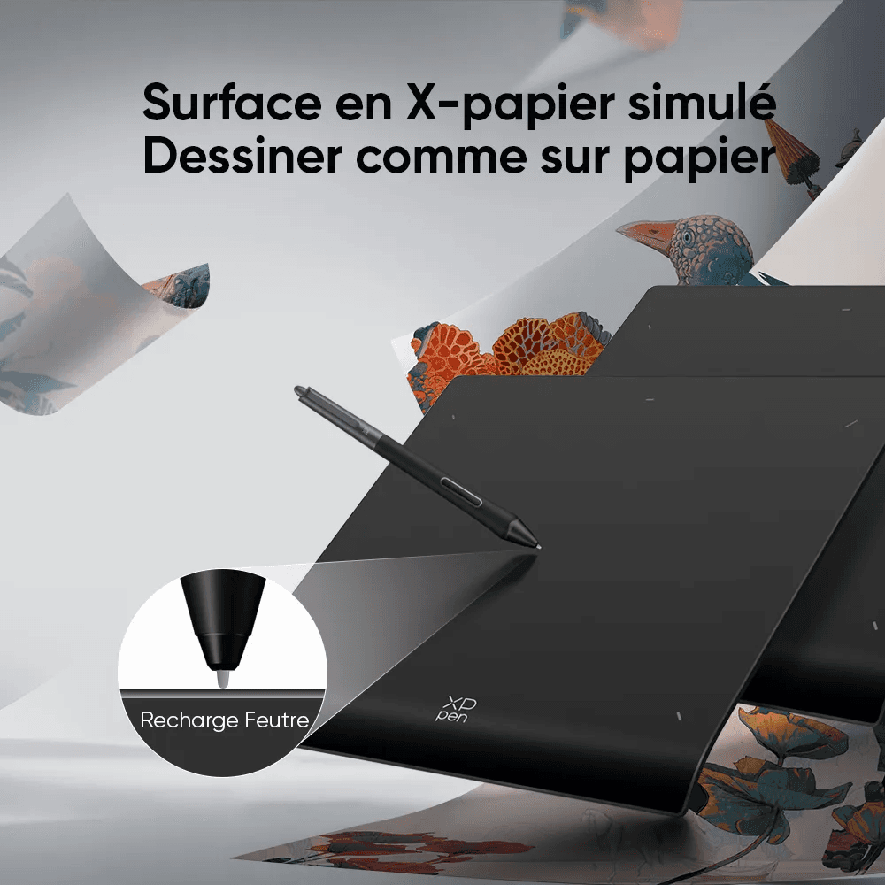 XPPEN Deco Pro LW Gen 2 MT1172B_ACK05 - 5080LPI 11" Noir 2