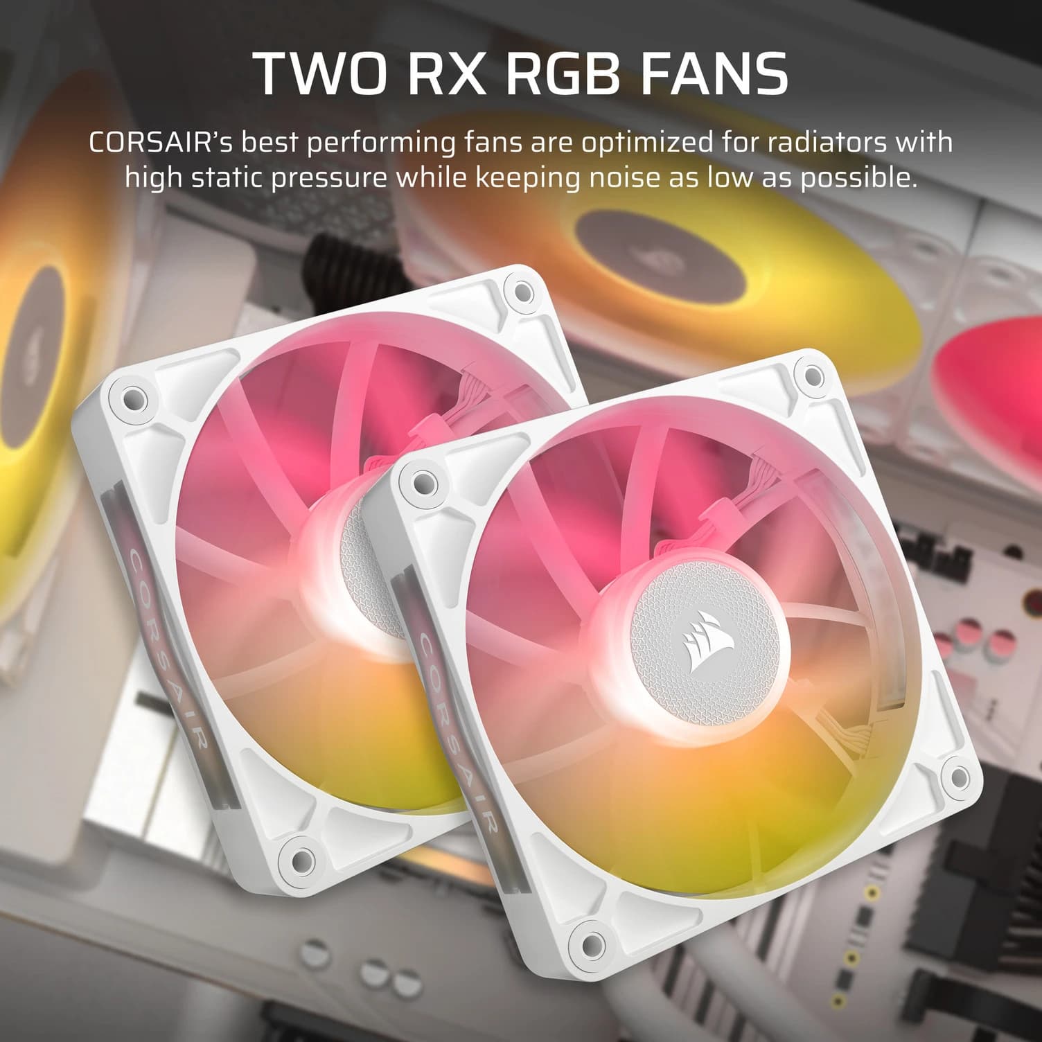 Corsair Titan 240 RX RGB (Blanc) 3