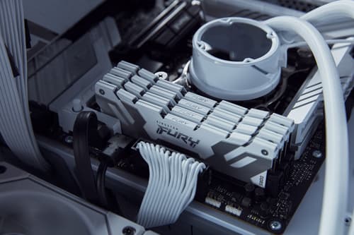 Kingston Fury Renegade 16Go (1x16Go) DDR5 8000MHz 3