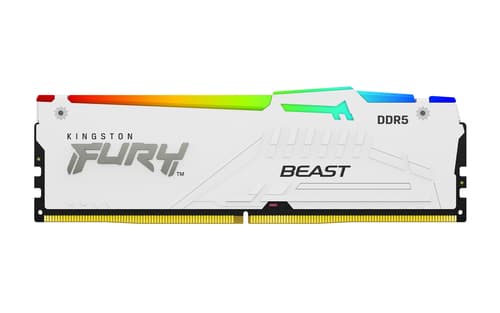 Kingston FURY Beast RGB 32 Go (2 x 16 Go) DDR5 6000 MHz CL36 - Blanc 3