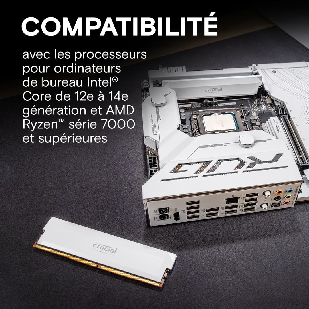 Crucial Pro Overclocking Edition 32Go (2x16Go) DDR5 6000MHz 4