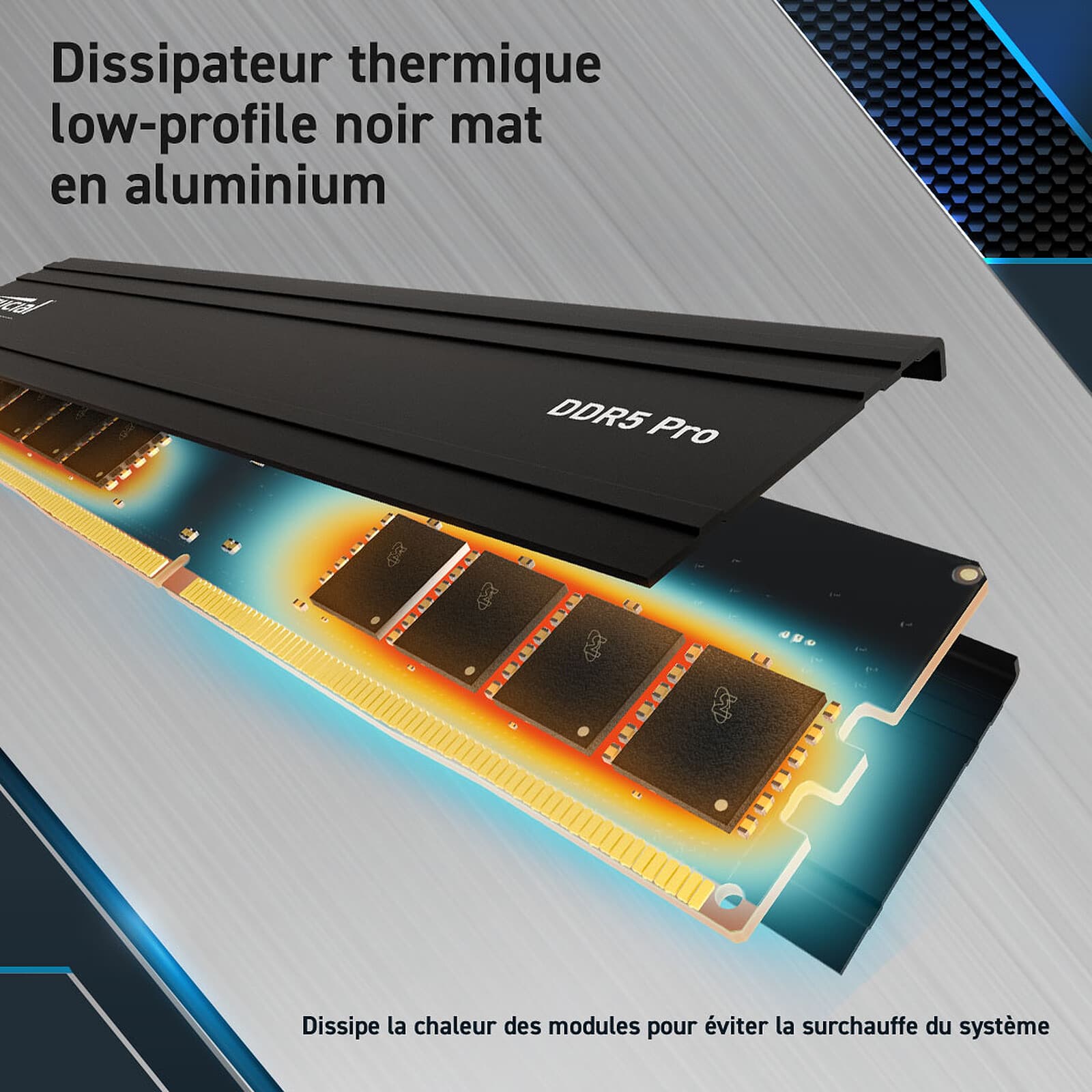 Crucial Pro DDR5 24 Go 6000 MHz CL48 3