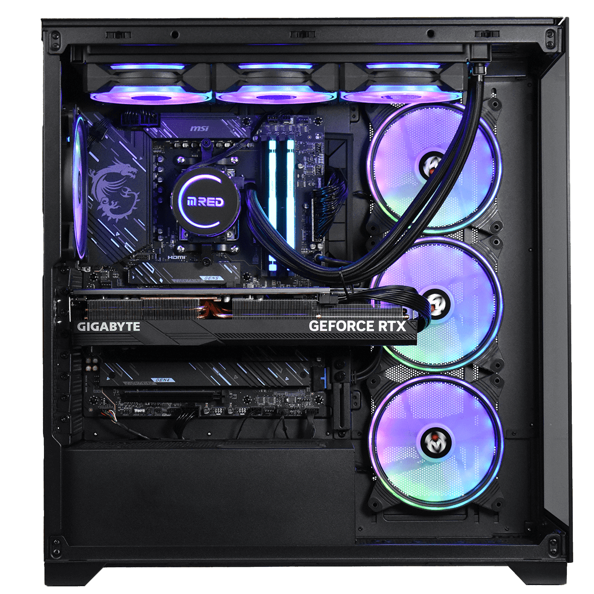 Purple Side VisioN-C 2