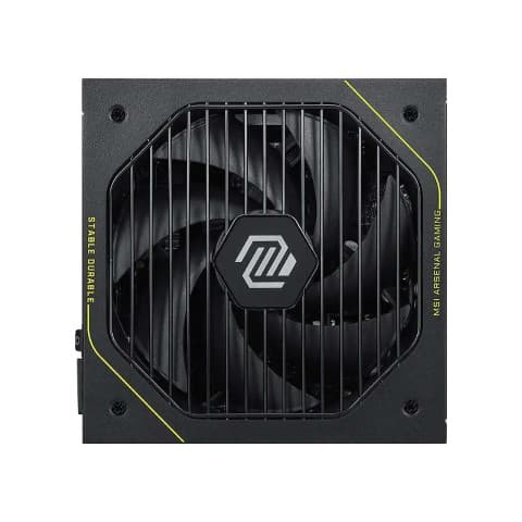 MSI MAG A1000PLS PCIE5 2