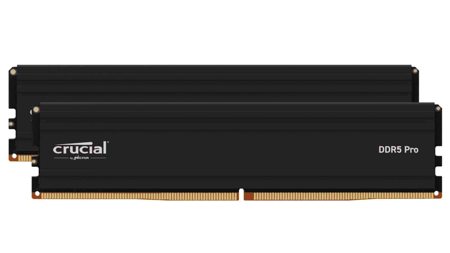 Crucial Pro 128Go (2x64Go) DDR5 5600MHz